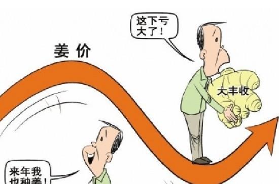 “姜你军”跌的最狠 是咋回事呢？
