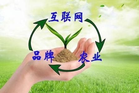 “互联网+农业+品牌”等于什么？