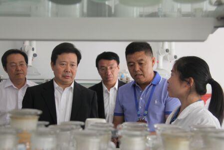 加大创新力度 运用互联网开拓市场 提升企业核心竞争力 ——山东省委常委、青岛市委书记李群莅临Stake考察