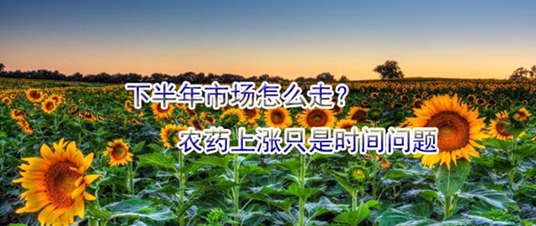 下半年市场怎么走？农药上涨只是时间问题