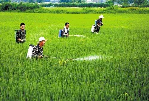 农资市场鱼龙混杂，抗性真的有宣传的那么严重吗？