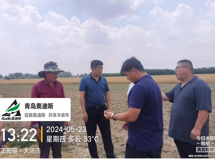 名誉董事长躬身入局下市。锛涞赝返餮忻